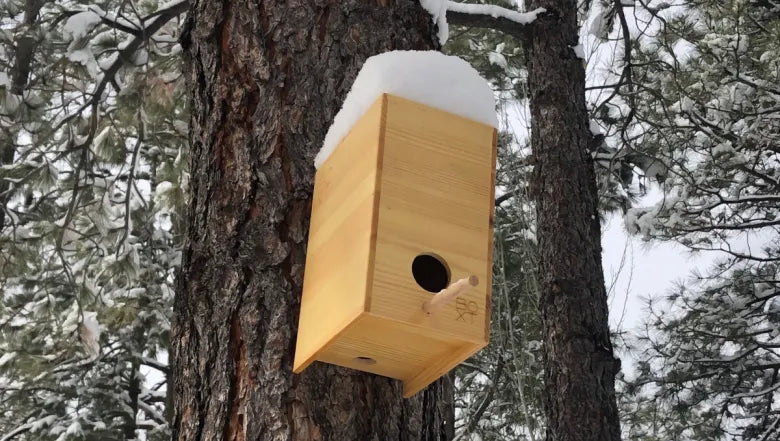 Upcycle Your BOXT Into a Birdhouse