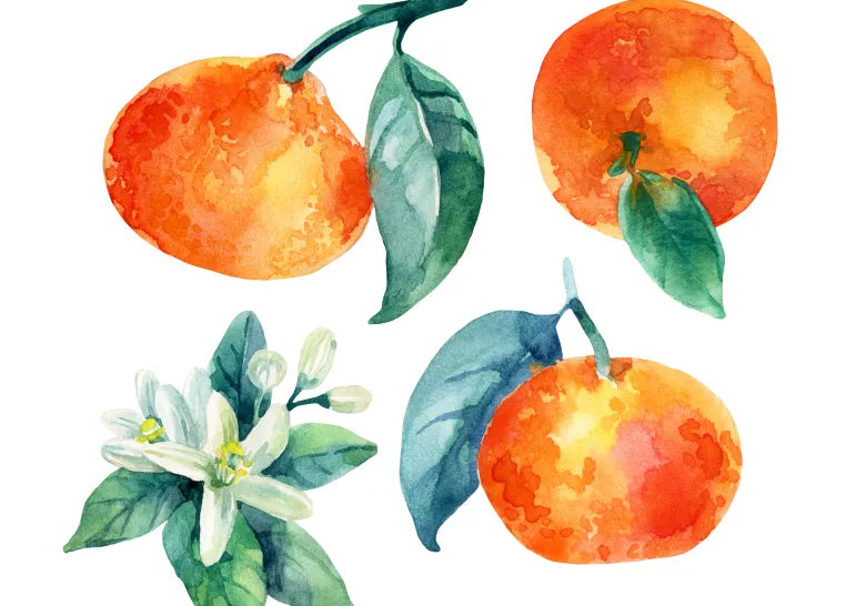 11 Common Floral Aromas Found in Wine oranges and blossoms